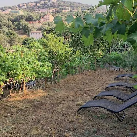 Appart 175m2 Jardin Prive Stationnement Gratuit Αζάτσιο